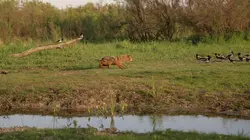 L'Europe sauvage Rivières, fleuves et océans