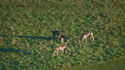L'Europe vue du ciel S03E02 L'Irlande