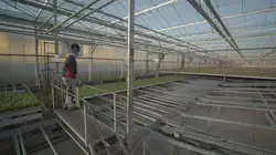 L'Europe vue du ciel S01E01 Les Pays-Bas