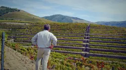 L'Europe vue du ciel