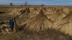 L'Europe vue du ciel