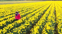 L'Europe vue du ciel S03E02 L'Irlande
