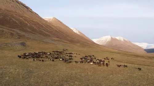 L'Europe vue du ciel