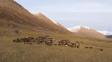 L'Europe vue du ciel S03E06 L'Islande