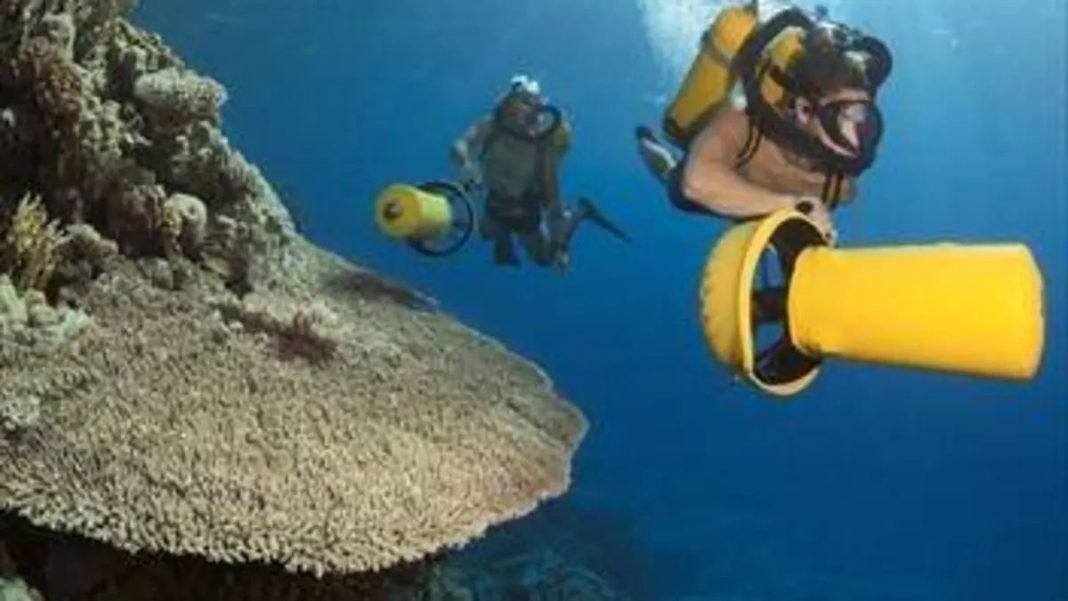 L'héritage de Jacques Cousteau, retour aux secrets de la mer
