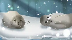 L'heure du conte S02E08 Le cèdre et la colombe