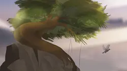 L'heure du conte S02E08 Le cèdre et la colombe