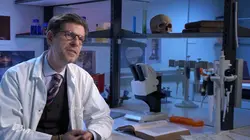 L'histoire au scalpel Raphaël, les secrets des reliques