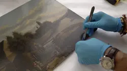 L'histoire au scalpel