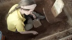 L'histoire au scalpel