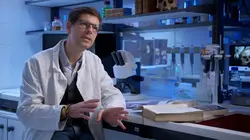 L'histoire au scalpel