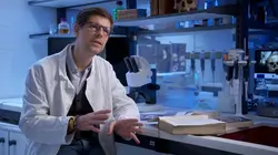 L'histoire au scalpel