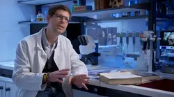 L'histoire au scalpel