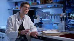 L'histoire au scalpel