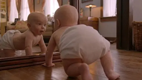 L'histoire de l'être humain