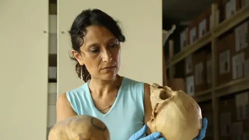 Casting L'Histoire en 3D Le mystère des lignes de Nazca