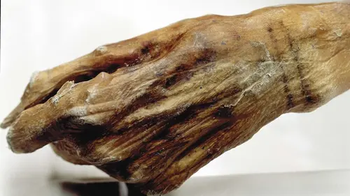 L'Histoire en 3D L'homme des glaces