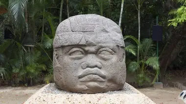 La malédiction du trésor de la jungle