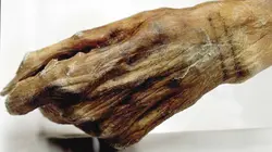 L'Histoire en 3D L'homme des glaces