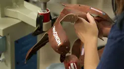 L'histoire extraordinaire des objets du quotidien