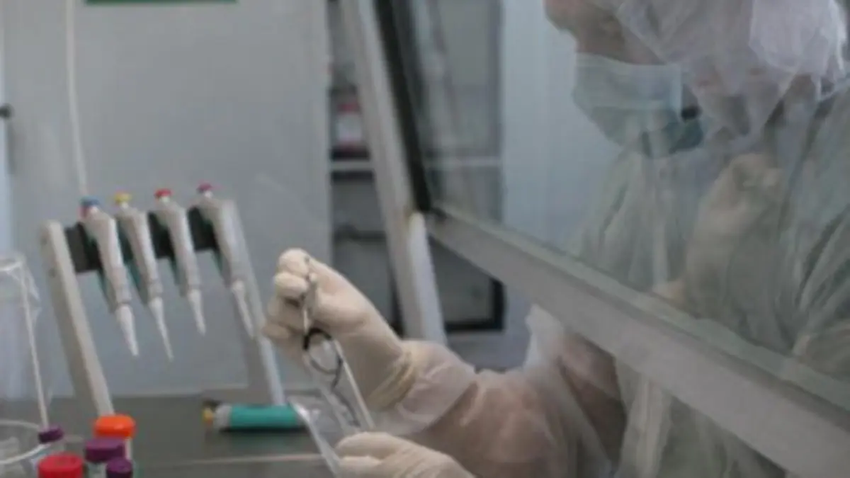 L'histoire ne tient qu'à un cheveu