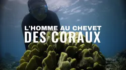 L'homme au chevet des coraux