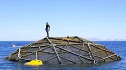 Visuel de Un nouveau monde sauvage