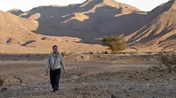 Visuel de L'homme de sable, le cinéma de Thierry Michel