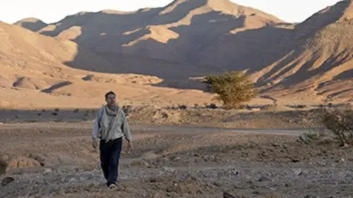 L'homme de sable, le cinéma de Thierry Michel