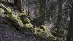 L'homme des bois  S01E02 Dans les forêts des Vosges