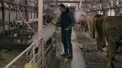 L'homme des bois  S01E02 Dans les forêts des Vosges