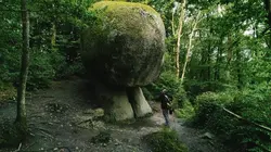 L'homme des bois S01E05 En forêt de Tronçais