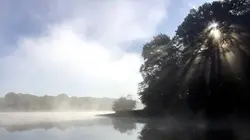 L'homme des bois S01E05 En forêt de Tronçais