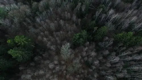 L'homme des bois S01E02 Dans les forêts des Vosges