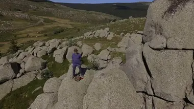 Cévennes, forêt des résistances