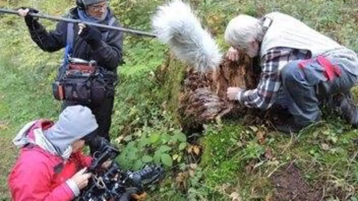 L'homme et la forêt, chroniques jurassiennes E02