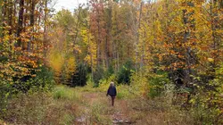 L'homme et la nature, une nouvelle alliance