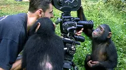 Visuel de L'homme, la bête et la caméra