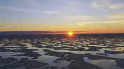 L'homme qui aimait les ours