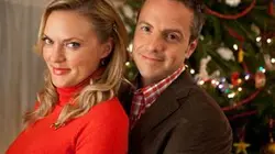 Visuel de L'homme qui n'aimait pas Noël