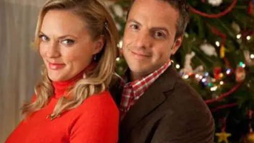 Casting L'homme qui n'aimait pas Noël