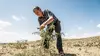 2021 • L'homme qui ressuscite les arbres