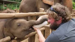 L'hôpital des éléphants