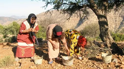 L'huile d'argan, cosmétique et diététique