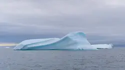 L'Iceberg, Frank Bruno