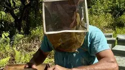 Visuel de L'île aux miels