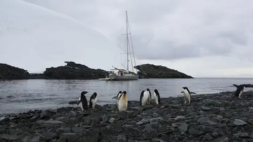 L'île d'Elle en Antarctique