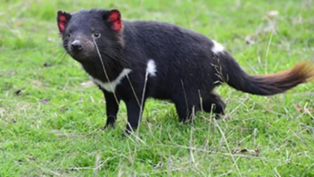 L'île de la dernière chance E01 Opération reconquête