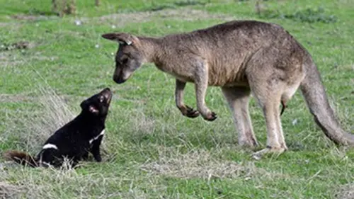 Épisodes de L'île de la dernière chance