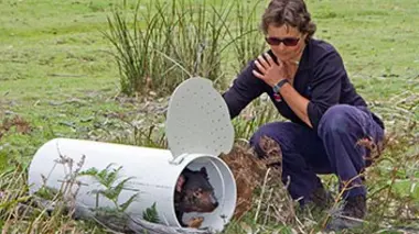 Destination : l'île Maria